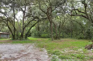 12590 NW 82 Ct, Chiefland, FL 32626 - Photo 15