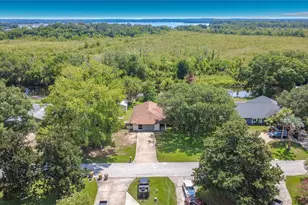28800 Tammi Dr, Tavares, FL 32778 - Photo 3