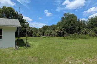 876 Shaw Lake Rd, Pierson, FL 32180 - Photo 13