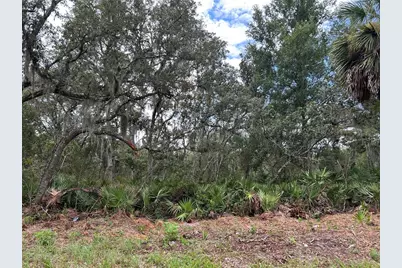 Peterson Road, Pierson, FL 32180 - Photo 1