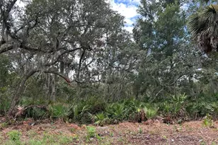 Peterson Rd, Pierson, FL 32180 - Photo 1