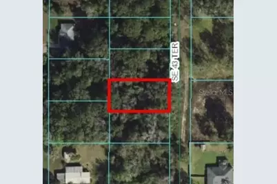 Se 43rd Terrace, Belleview, FL 34420 - Photo 1
