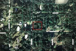 SE 132nd Pl, Belleview, FL 34420 - Photo 1