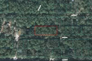225th Pl, Fort Mc Coy, FL 32134 - Photo 1