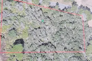 Spring Garden Ranch Rd, De Leon Springs, FL 32130 - Photo 1