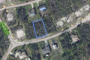 327 Hoover Ave NE, Lake Placid, FL 33852 - Photo 1
