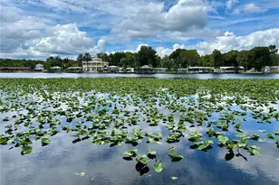 1638 Paradise Ln, Astor, FL 32102 - Photo 3