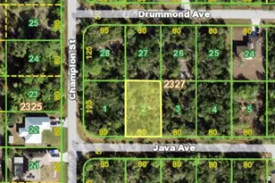 13318 Java Ave, Port Charlotte, FL 33953 - Photo 1