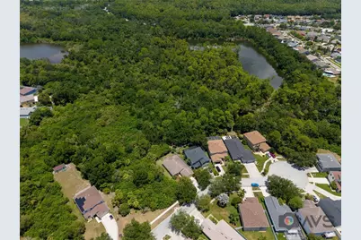 12415 Rustic View Court, Tampa, FL 33635 - Photo 65