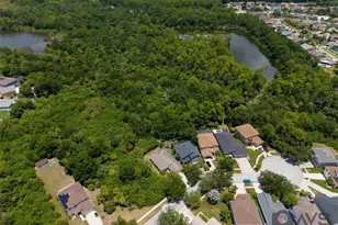 12415 Rustic View Ct, Tampa, FL 33635 - Photo 65