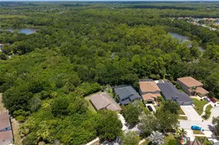 12415 Rustic View Ct, Tampa, FL 33635 - Photo 59