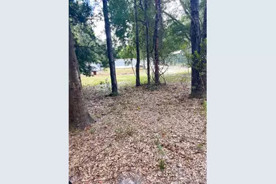 7231 NW 28th Lane, Chiefland, FL 32626 - Photo 5