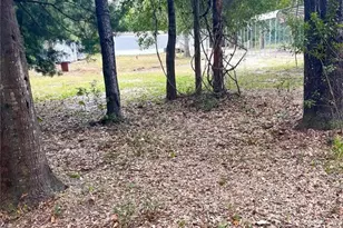 7231 NW 28th Ln, Chiefland, FL 32626 - Photo 5