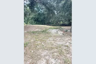7231 NW 28th Lane, Chiefland, FL 32626 - Photo 35