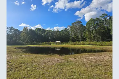 160 W Hagstrom Road, Pierson, FL 32180 - Photo 1
