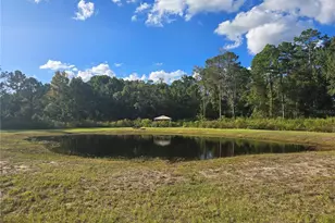 160 W Hagstrom Rd, Pierson, FL 32180 - Photo 1