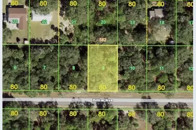17480 Billiar Avenue, Port Charlotte, FL 33948 - Photo 1