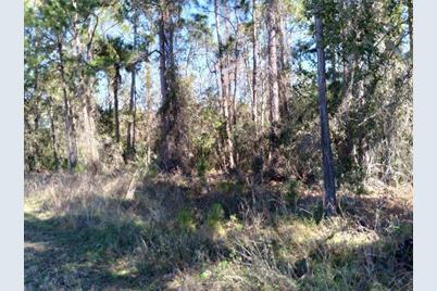 Evans Rd, Polk City, FL 33868 - Photo 3