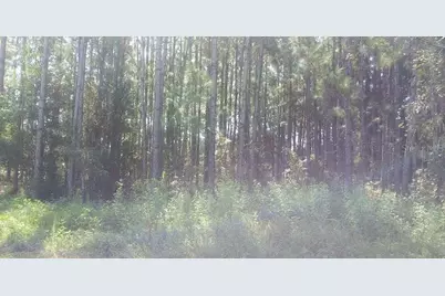 Mt Tabor Road, Lakeland, FL 33810 - Photo 7