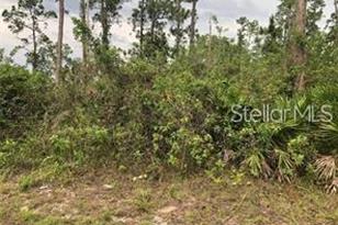 20581 NW 246th St, Okeechobee, FL 34972 - Photo 1
