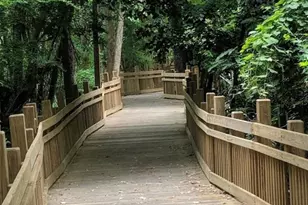 1134 Tapestry Dr, Celebration, FL 34747 - Photo 67