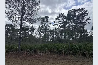 0 Allamanda Lot 11 Drive, Indian Lake Estates, FL 33855 - Photo 11