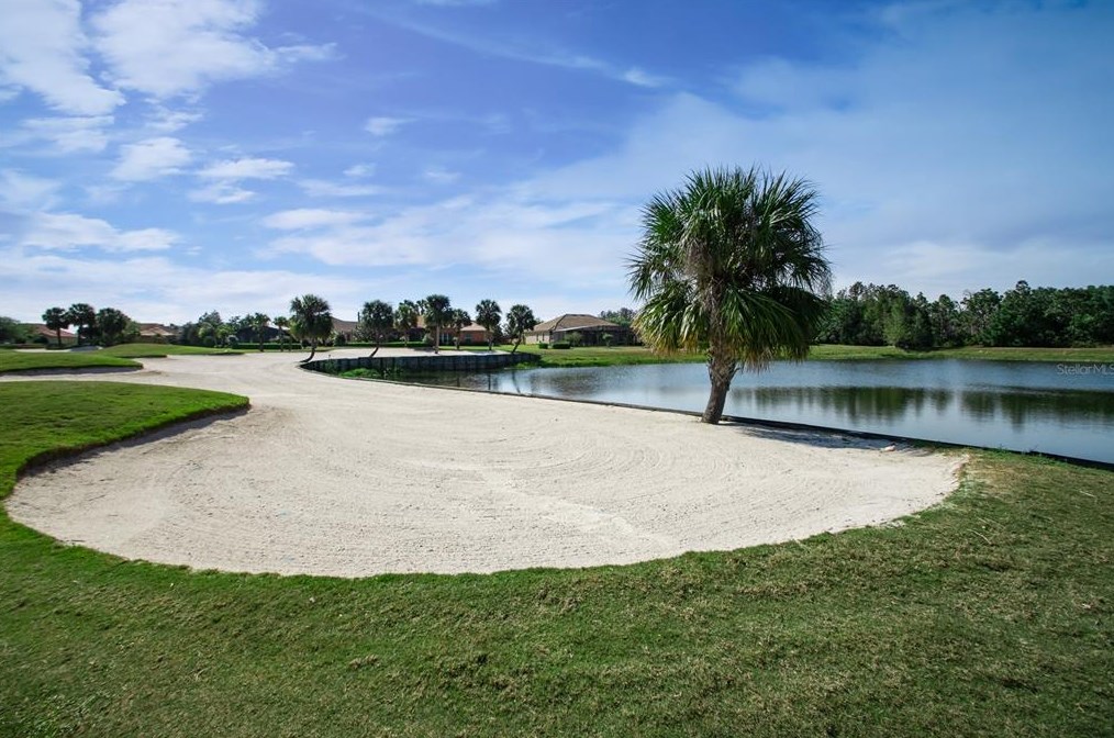 1306 Harbor Ridge Dr, Kissimmee FL 34759-6211 exterior