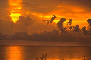 6009 Sea Ranch Dr, Hudson, FL 34667 - Photo 61