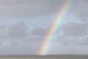 6009 Sea Ranch Dr, Hudson, FL 34667 - Photo 39