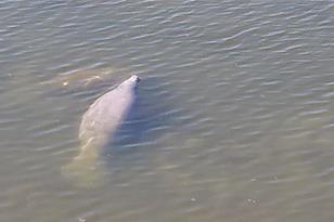 6009 Sea Ranch Dr, Hudson, FL 34667 - Photo 35