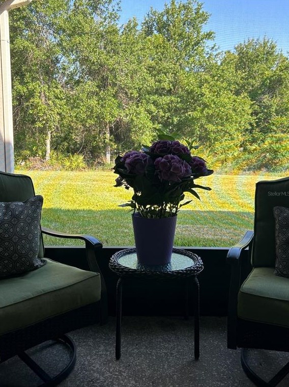 2451 Marshfield Preserve Way, Kissimmee FL 34746-2168 exterior