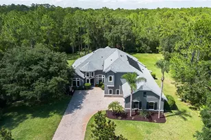 14121 Bella Ln, Orlando, FL 32832 - Photo 3