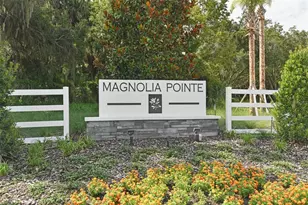 199 Bull Frog Ln, Umatilla, FL 32784 - Photo 19