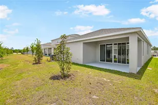 192 Flag Lilly Ln, Umatilla, FL 32784 - Photo 19