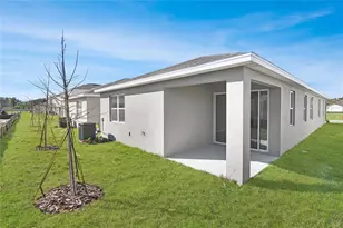 203 Bull Frog Ln, Umatilla, FL 32784 - Photo 15