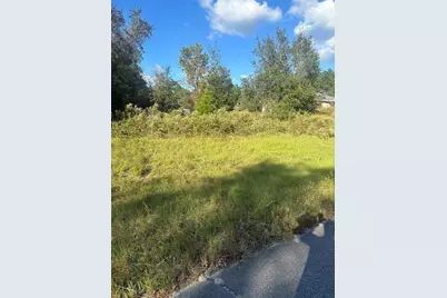 Undetermined Circle, Dunnellon, FL 34432 - Photo 3