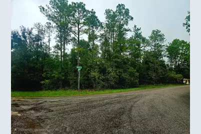 Southwest 206th Court Rd, Dunnellon, FL 34431 - Photo 5