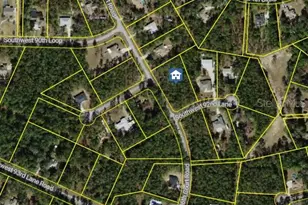 Southwest 206th Ct Rd, Dunnellon, FL 34431 - Photo 1