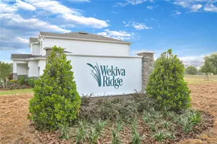 3740 Deer Ridge Dr, Mount Dora, FL 32757 - Photo 3