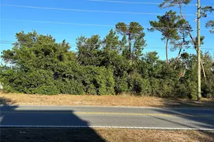 0 Deltona Blvd, Spring Hill, FL 34606 - Photo 1