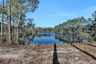141 Woods Rd, San Mateo, FL 32187 - Photo 49