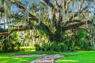 1281 N Timucuan Trail, Inverness, FL 34453 - Photo 53
