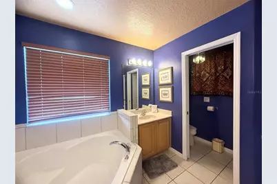 8557 La Isla Drive, Kissimmee, FL 34747 - Photo 43