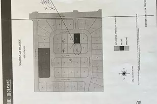 2587 Summer Star Wy, Leesburg, FL 34748 - Photo 33