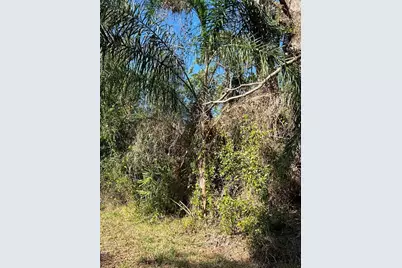 510 Calliandra Drive, Indian Lake Estates, FL 33855 - Photo 3