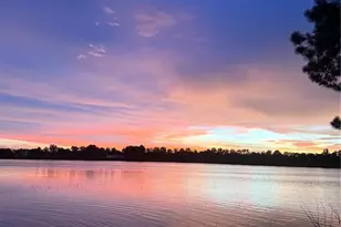 3412 Lake Diane Rd, Tavares, FL 32778 - Photo 9