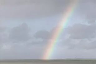 6035 Sea Ranch Dr, Hudson, FL 34667 - Photo 65