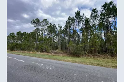 Paddock Street, Orlando, FL 32833 - Photo 5
