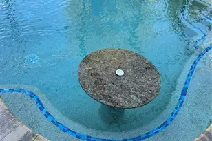 10902 Citron Oaks Dr, Orlando, FL 32836 - Photo 33