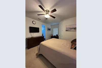 10902 Citron Oaks Drive, Orlando, FL 32836 - Photo 29